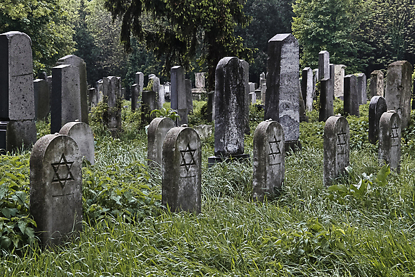 포토 JPG 해외이미지 유럽 종교 출입구 사람없음 초록색 믿음 슬픔 죽음 무덤 황무지 역사 묘사 유대인 장례 땅바닥 숭배 신앙심 썩음 옛날 장례식 해외202004 해외포토 감정 나라 컬러 바닥 파일형식 이미지허브