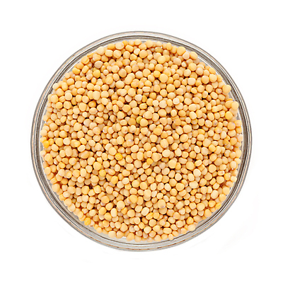 포토 JPG 해외이미지 사람없음 흰색 낟알 향신료 겨자씨 해외202004 해외포토 컬러 씨앗 향미료 파일형식 이미지허브