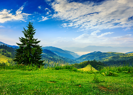 포토 JPG 해외이미지 나무 식물 구름 1 유럽 여행 백그라운드 자연 하늘 산 풍경 사람없음 야외 여름 일출 계곡 숲 침엽수 해외202004 해외포토 자연요소 계절 나라 노을 생태계 파일형식 이미지허브