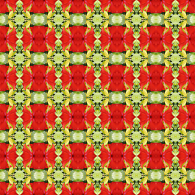 포토 JPG 해외이미지 식물 계절 꽃잎 꽃 백그라운드 잎 꽃무늬 패턴 자연 벽지 추상 사람없음 빨간색 초록색 여름 컬러풀 성장 벚꽃 개화 관목 즐거움 원예 꽃가루 상록수 내추럴 꽃수술 하와이인 히비스커스 해외202004 해외포토 외국인 나무 감정 컬러 무늬 취미 가루 생태계 파일형식 이미지허브