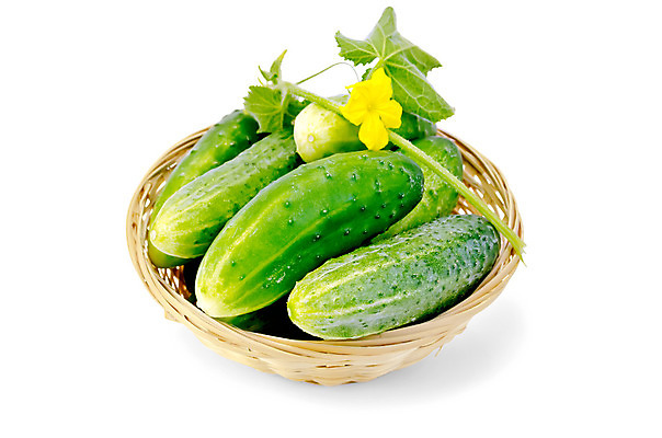 포토 JPG 해외이미지 식물 꽃 음식 백그라운드 잎 농업 채소 자연 오이 실내 건강 사람없음 가로 초록색 여름 농작물 노란색 쌓기 바구니 주방 수확 벚꽃 가을 흰색 신선 개화 그룹 맛 자르기 날것 흙더미 내추럴 고립 숙성 채식주의자 해외202004 해외포토 계절 산업 컬러 컨셉 모션 내부 흙 생태계 채식 파일형식 더미 이미지허브