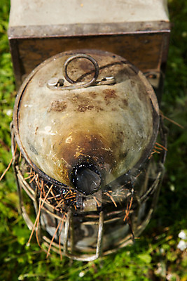 포토 JPG 해외이미지 음식 곤충 자연 산 주택 사람없음 야외 상자 컬러풀 농장 맑음 나뭇가지 큐브 꿀 서식지 벌집 생태학 양봉 양봉장 줄서기 해외202004 해외포토 나무 동물 교육 컬러 농업 모션 날씨 건물 생태계 파일형식 이미지허브