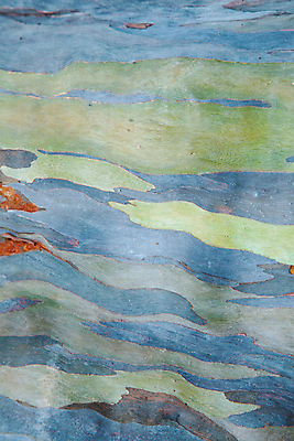 포토 JPG 해외이미지 나무 벽 백그라운드 패턴 자연 표면 추상 바닥 사람없음 목재 갈색 어둠 수확 거친 낟알 묘사 질감 내추럴 수목 옛날 해외202004 해외포토 식물 컬러 무늬 농업 재료 생태계 파일형식 이미지허브