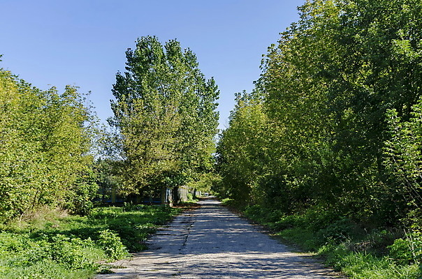 포토 JPG 해외이미지 나무 공원 자연 하늘 풍경 사람없음 파란색 소나무 숲 방법 불가리아 해외202004 해외포토 식물 공공시설 컬러 생태계 파일형식 남유럽 이미지허브