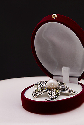 포토 JPG 해외이미지 꽃잎 백그라운드 선물 사람없음 장식 빨간색 빛 반짝임 상자 유행 금속 검은색 골동품 흰색 오픈 화려 재산 고급 우아함 은색 보석 구슬 오브젝트 싱글 다이아몬드 보물 브로치 궤 옛날 팬던트 벨벳 해외202004 해외포토 꽃 컬러 컨셉 장신구 모션 재질 금융 광석 실크 파일형식 이미지허브