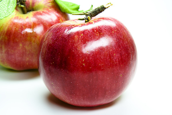 포토 JPG 해외이미지 나무 라이프스타일 음식 잎 다이어트 과일 자연 건강 사람없음 빨간색 초록색 주방 주스 가을 흰색 신선 아침식사 사과 먹기 칼로리 건강식 고립 식욕 해외202004 해외포토 식물 계절 음료 컬러 모션 생활 식사 생태계 파일형식 이미지허브