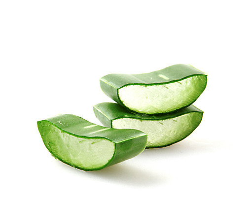 포토 JPG 해외이미지 식물 줄기 조각 백그라운드 잎 근접촬영 사람없음 초록색 뷰티 알로에 알로에베라 해외202004 해외포토 뷰포인트 컬러 파일형식 이미지허브