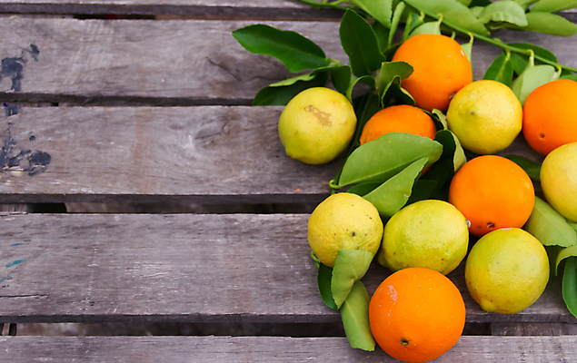 포토 JPG 해외이미지 음식 잎 채소 오렌지 과일 탁자 귤 건강 사람없음 목재 노란색 이탈리아 시골 신선 레몬 유기농 아로마 아로마테라피 내추럴 해외202004 해외포토 나무 식물 웰빙 유럽 컬러 가구 재료 테라피 파일형식 이미지허브