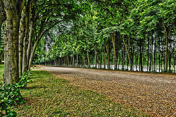 포토 JPG 해외이미지 공원 유럽 자연 사람없음 야외 정원 프랑스 해외202004 해외포토 공공시설 나라 생태계 파일형식 이미지허브