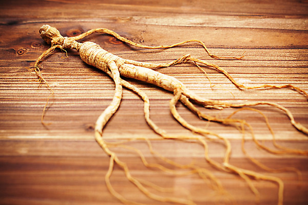 포토 JPG 해외이미지 식물 전통 음료 음식 백그라운드 다이어트 자연 한국 건강 요리 동양인 사람없음 목재 약 갈색 중국 활발 에너지 달콤 수프 허브 유기농 뿌리 슛 지하 동쪽 고립 치료제 토닉 해외202004 해외포토 나무 웰빙 아시아 컬러 컨셉 재료 의학 인종 맛 방향 생태계 파일형식 이미지허브