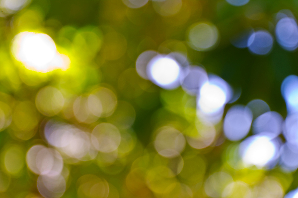 포토 JPG 해외이미지 사람없음 초록색 소프트포커스 보케 빛망울 블러 블러효과 보케백그라운드 해외202004 해외포토 컬러 백그라운드 촬영기법 빛 파일형식 효과 이미지허브