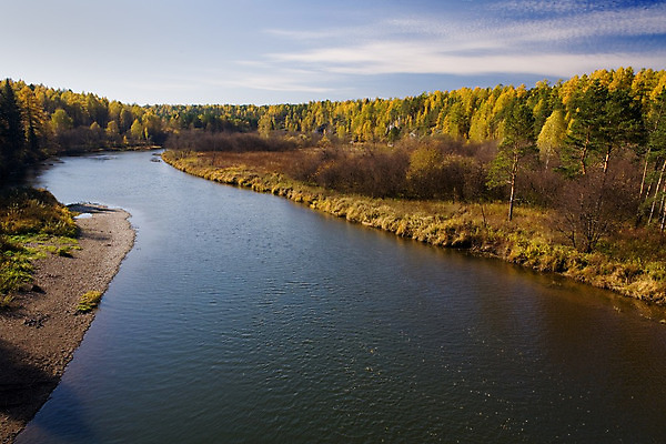 포토 JPG 해외이미지 나무 계절 낙엽 잎 자연 하늘 풍경 사람없음 야외 빨간색 초록색 물 파란색 빛 햇빛 노란색 자유 가을 황금 숲 지역 10월 해외202004 해외포토 자연요소 식물 컬러 컨셉 태양 날짜 생태계 파일형식 이미지허브