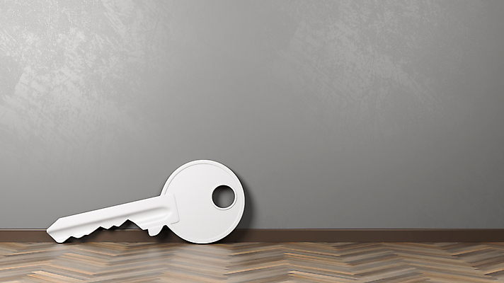 포토 JPG 해외이미지 모양 1 벽 백그라운드 일러스트 열쇠 바닥 주택 실내 사람없음 내부 목재 3D 방 회색 흰색 싱글 보안 반대 카피스페이스 파케트 해외202004 해외포토 나무 컬러 재료 안전 건물 공백 디지털합성 파일형식 이미지허브