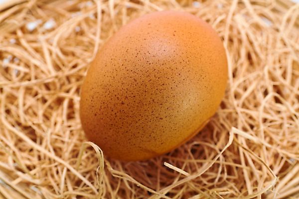 포토 JPG 해외이미지 동물 전통 계절 길 음식 백그라운드 재료 자연 조류 부활절 건강 요리 사람없음 농장 갈색 노란색 바구니 계란 치킨 봄 껍질 흰색 신선 원형 그룹 시장 닫기 아침식사 상품 자르기 먹기 묘사 오브젝트 유기농 날것 노른자 내추럴 고립 단백질 등나무 생식 암탉 줄서기 해외202004 해외포토 도형 나무 웰빙 기념일 컬러 농업 모션 알 식사 닭 암컷 생태계 닭고기요리 영양소 파일형식 이미지허브