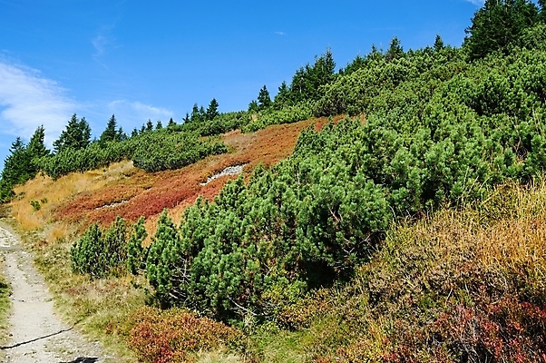 포토 JPG 해외이미지 나무 구름 계절 유럽 여행 백그라운드 자연 하늘 휴가 산 파노라마 풍경 사람없음 야외 초록색 환경 계곡 안개 가을 숲 언덕 내추럴 해외202004 해외포토 자연요소 식물 나라 컬러 날씨 촬영기법 생태계 파일형식 이미지허브