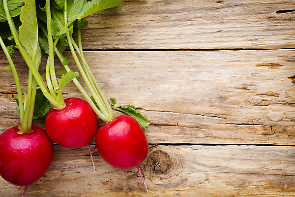 포토 JPG 해외이미지 식물 음식 백그라운드 잎 채소 재료 자연 탁자 건강 사람없음 목재 빨간색 초록색 농작물 성장 신선 작음 다발 먹기 유기농 날것 뿌리 흙더미 숙성 채식주의자 총각무 해외202004 해외포토 나무 웰빙 컬러 가구 농업 모션 흙 크기 무 생태계 채식 파일형식 더미 이미지허브
