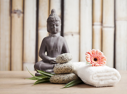 포토 JPG 해외이미지 나무 식물 종교 선 백그라운드 컨셉 잎 불교 휴식 건강 동양인 사람없음 치료 장식 초록색 물 약 평화 검은색 스파 화목 고요 매트 흰색 물방울 신선 마사지 행운 영혼 숲 허브 심볼 대나무 테라피 사우나 흙더미 내추럴 돌봄 해외202004 해외포토 자연요소 컬러 의학 모션 인종 뷰티 흙 파일형식 더미 이미지허브