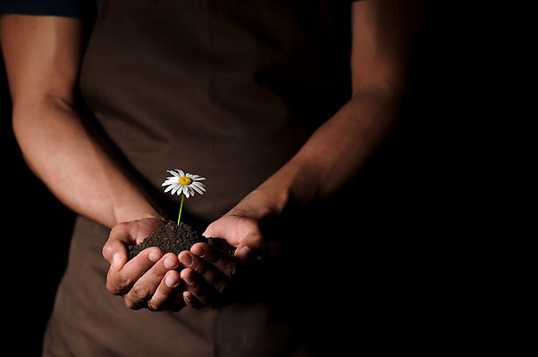 포토 JPG 해외이미지 나무 식물 손 꽃 줄기 백그라운드 컨셉 잎 밭 농업 채소 비즈니스 손가락 자연 하늘 성공 아이디어 씨앗 들기 사람 사람없음 초록색 여름 빛 글로벌 새싹 평화 환경 정원 검은색 흙 성장 잡기 보호 땅 유기농 원예 상승 돌봄 헬프 해외202004 해외포토 웰빙 계절 산업 컬러 모션 취미 신체부위 도움 생태계 파일형식 이미지허브