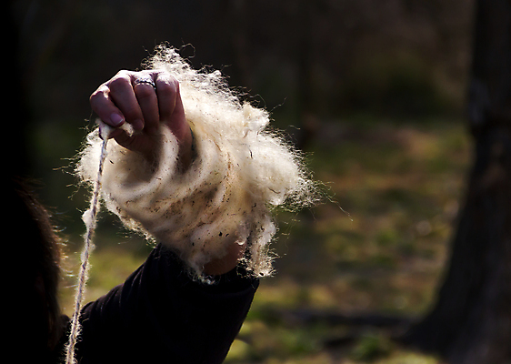 포토 JPG 해외이미지 주간 손 따뜻함 들기 야외 신체부위 목장 잡기 털실 포근함 손질 양털 해외202004 해외포토 자연요소 모션 사람 감각 실 파일형식 이미지허브