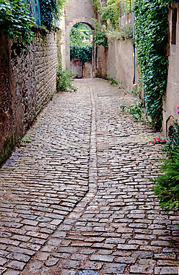 포토 JPG 해외이미지 식물 유럽 벽 건축양식 창문 거리 사람없음 프랑스 바위 도시 중세 보행로 샴페인 대문 화강암 해외202004 해외포토 건축 나라 길 주류 문 암석 돌_바위 역사 파일형식 이미지허브