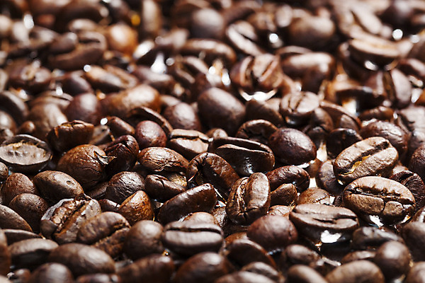 포토 JPG 해외이미지 커피 음료 음식 백그라운드 패턴 추상 콩 씨앗 사람없음 갈색 어둠 흰색 신선 굽기 유기농 질감 향기 아로마 에스프레소 흙더미 내추럴 모카 해외202004 해외포토 식물 웰빙 컬러 무늬 곡류 흙 구이 냄새 파일형식 더미 이미지허브