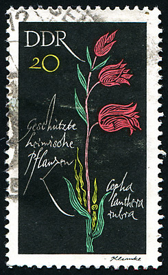 포토 JPG 해외이미지 식물 꽃잎 꽃 줄기 꽃무늬 자연 봉투 사람없음 튤립 수확 골동품 벚꽃 메시지 역사 물개 편지 꽃집 복고 엽서 우표 내추럴 옛날 해외202004 해외포토 무늬 농업 포유류 상점 바다동물 생태계 파일형식 이미지허브