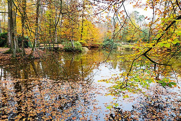 포토 JPG 해외이미지 나무 식물 계절 공원 유럽 호수 백그라운드 잎 오렌지 자연 하늘 풍경 사람없음 야외 목재 빨간색 초록색 물 빛 컬러풀 반사 갈색 노란색 평화 환경 화목 침묵 활발 가을 나뭇가지 연못 황금 숲 11월 유기농 질감 장면 내추럴 해외202004 해외포토 자연요소 웰빙 공공시설 나라 컬러 컨셉 과일 재료 소리 날짜 생태계 파일형식 이미지허브
