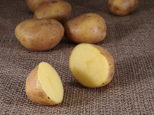 포토 JPG 해외이미지 음식 채소 재료 감자 건강 요리 사람없음 쌓기 주방 식사 껍질 흰색 맛 유기농 날것 뿌리 짜임 녹말 채식주의자 해외202004 해외포토 웰빙 컬러 컨셉 모션 채식 파일형식 이미지허브