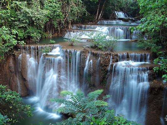 포토 JPG 해외이미지 나무 식물 공원 아시아 여행 잎 태국 자연 조류 산 동양인 사람없음 물 폭포 흐름 신선 4 개울 숲 강의 즐거움 수로 운하 층 내추럴 루트 보호구역 전국 현재 해외202004 해외포토 자연요소 동물 공공시설 감정 나라 컨셉 인종 강 숫자 생태계 구역 파일형식 이미지허브