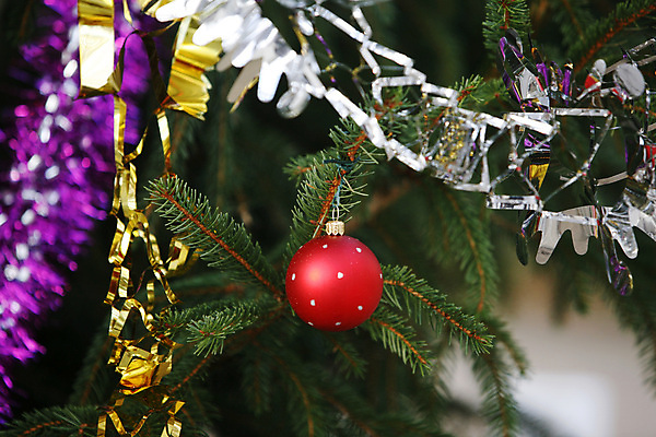 포토 JPG 해외이미지 나무 전통 계절 크리스마스 겨울 공 놀이 휴가 선물 사람없음 빨간색 산타클로스 축하 12월 해외202004 해외포토 식물 기념일 컬러 컨셉 날짜 파일형식 이미지허브
