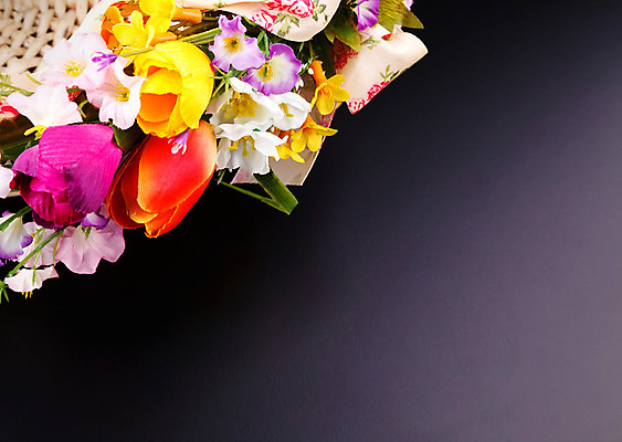 포토 JPG 해외이미지 디자인 계절 꽃잎 꽃 행복 분홍색 꽃다발 백그라운드 컨셉 잎 꽃무늬 패턴 오렌지 자연 휴가 아이디어 발렌타인데이 선물 미술 사람없음 장식 빨간색 초록색 여름 노란색 우주 정원 검은색 봄 공백 벚꽃 축하 인사 생일 5월 배열 핸드메이드 카피스페이스 해외202004 해외포토 식물 기념일 감정 컬러 무늬 과일 데이이벤트 문화예술 예절 날짜 생태계 파일형식 이미지허브