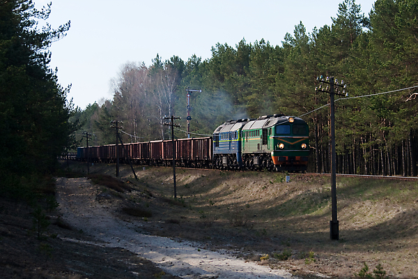 포토 JPG 해외이미지 산업 교통시설 자연 풍경 사람없음 야외 가로 여름 햇빛 환경 힘 기차 화물 시골 숲 광택 무거움 폴란드 선로 해외202004 해외포토 계절 유럽 육상교통 교통 대중교통 태양 운송업 무게 시설 생태계 파일형식 이미지허브