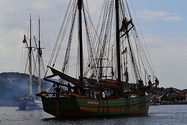 포토 JPG 해외이미지 사람없음 박쥐 해외202004 해외포토 포유류 파일형식 이미지허브