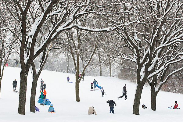 포토 JPG 해외이미지 나무 공원 행복 어린이 스포츠 겨울 가족 놀이 휴가 사람 풍경 경사 성인 사람없음 야외 운동 추위 나뭇가지 미끄러짐 불기 언덕 장면 썰매타기 눈보라 오르막 블러 눈내림 해외202004 해외포토 식물 계절 공공시설 감정 관계 모션 눈_날씨 건강 전통놀이 파일형식 이미지허브