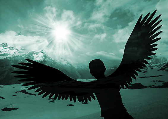 포토 JPG 해외이미지 구름 디자인 실루엣 종교 컨셉 날개 조류 하늘 휴식 새로움 사람 사람없음 초록색 빛 평화 성경 희망 힘 자유 광선 비행 기다림 우아함 깃털 독수리 증거 대머리 귀족 단아함 무료 칭찬 힘찬 효과 해외202004 해외포토 자연요소 동물 헤어스타일 감정 컬러 종교용품 모션 촬영기법 파일형식 이미지허브