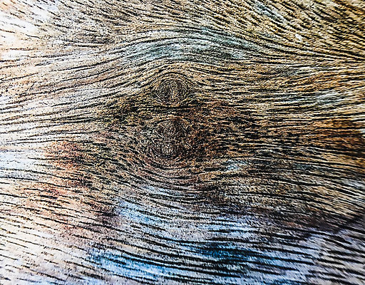 포토 JPG 해외이미지 나무 식물 디자인 공원 선 벽 백그라운드 패턴 자연 표면 날씨 추상 건조 사람없음 목재 갈색 환경 소나무 거친 역사 보호 숲 낟알 장작 피부 묘사 유기농 올리브 질감 나무껍질 잡동사니 내추럴 그런지 수목 옛날 울퉁불퉁 해외202004 해외포토 웰빙 공공시설 열매 컬러 컨셉 무늬 재료 신체부위 껍질 생태계 파일형식 이미지허브