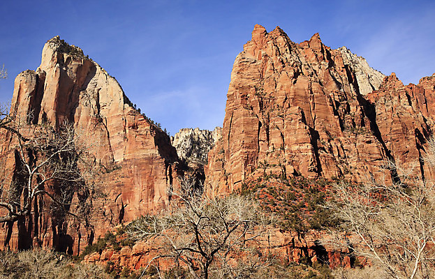 포토 JPG 해외이미지 나무 구름 공원 여행 백그라운드 자연 하늘 휴가 산 건조 풍경 사람없음 야외 빨간색 여름 파란색 여행객 환경 골짜기 계곡 미국 하이킹 사막 바위 황무지 정상 땅 부식 호기심 암초 사암 내추럴 감탄 시온산 전국 절정 지질학 해외202004 해외포토 자연요소 식물 계절 공공시설 교육 감정 컬러 컨셉 북아메리카 레저 사람 돌_바위 생태계 파일형식 이미지허브
