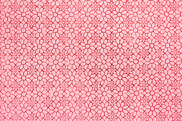 포토 JPG 해외이미지 식물 디자인 꽃 종이 분홍색 백그라운드 잎 꽃무늬 패턴 벽지 미술 사람없음 그래픽 장식 빨간색 수확 골동품 흰색 시골 거친 고급 부식 질감 복고 페이지 한조각 그런지 르네상스 스크랩북 해외202004 해외포토 1 컬러 컨셉 무늬 농업 문화예술 파일형식 이미지허브