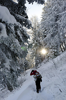 포토 JPG 해외이미지 주간 전신 라이프스타일 여자 겨울 산 한명 풍경 성인 야외 뒷모습 태양 손들기 걷기 산책 등산 트래킹 하이킹 추위 신선 숲 백패커 하이커 눈내림 성인여자한명만 설산 해외202004 해외포토 자연요소 1 계절 뷰포인트 여행 모션 레저 휴식 눈_날씨 사람 생활 여자한명만 성인여자만 파일형식 이미지허브