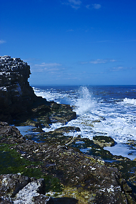 포토 JPG 해외이미지 파도 바다 풍경 사람없음 태양 흰색 해조류 부식 분필 암초 석회암 해외202004 해외포토 자연요소 컬러 암석 해양식물 초크 파일형식 이미지허브