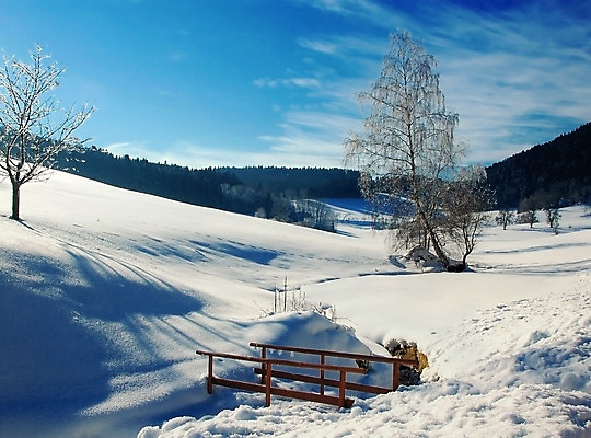 포토 JPG 해외이미지 나무 계절 겨울 포장 자연 벽지 하늘 날씨 새로움 풍경 사람없음 야외 목재 가로 파란색 햇빛 환경 정원 냉동 얼음 침묵 추위 덮개 흰색 시골 황무지 오스트리아 작음 12월 그림 서리 장면 전나무 1월 내추럴 눈내림 카피스페이스 해외202004 해외포토 자연요소 식물 유럽 컬러 컨셉 재료 눈_날씨 태양 소리 공백 뚜껑 날짜 크기 생태계 파일형식 이미지허브