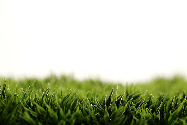 포토 JPG 해외이미지 사람없음 초록색 물 젖음 물방울 신선 묘사 해외202004 해외포토 자연요소 컬러 파일형식 이미지허브