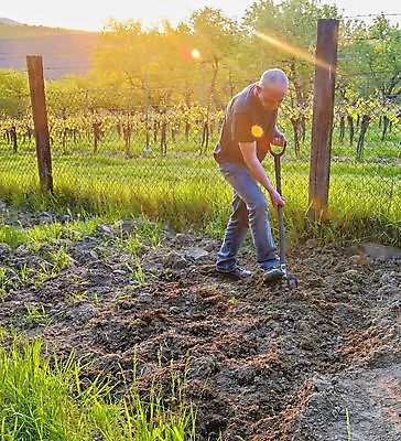 포토 JPG 해외이미지 식물 백인 계절 지구 40대 포크 농업 채소 씨앗 한명 사람 야외 캐주얼 초록색 여름 농장 정원 경작 흙 봄 장비 성장 공구 시골 업무 삽 뿌리기 발굴 준비 유기농 원예 먼지 땅바닥 땅파기 밭일 쇠스랑 원예사 해외202004 해외포토 서양인 직업 1 식기 웰빙 옷 산업 컬러 중년 모션 바닥 취미 농사 도구 작업 파일형식 이미지허브