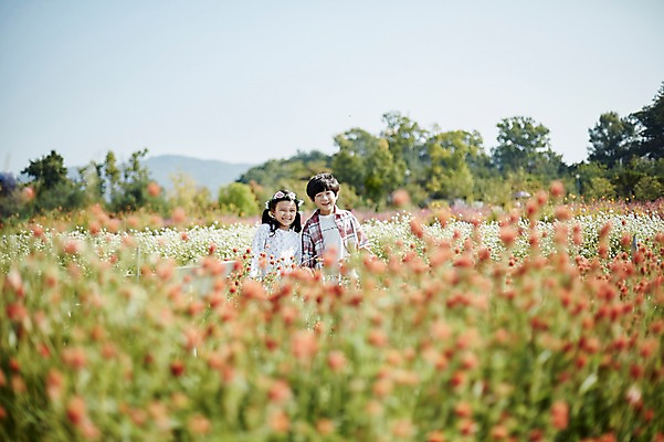포토 JPG 주간 여자 남자 어린이라이프 어린이 꽃밭 미소 상반신 야외 두명 앞모습 걷기 귀여움 한국인 짝꿍 꽃구경 어린이만 국내포토 자연요소 라이프스타일 꽃 뷰포인트 컨셉 모션 표정 사람 동양인 친구 파일형식