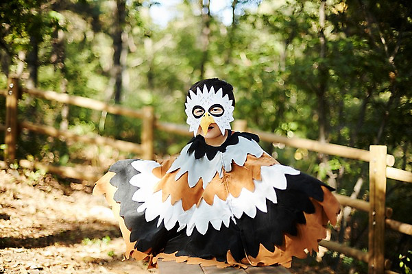 포토 JPG 주간 남자 어린이라이프 어린이 조류 한명 서기 상반신 야외 앞모습 분장 귀여움 한국인 숲속 역할놀이 코스프레 소년한명만 국내포토 자연요소 동물 1 라이프스타일 뷰포인트 컨셉 모션 놀이 사람 동양인 숲 남자한명만 소년만 파일형식