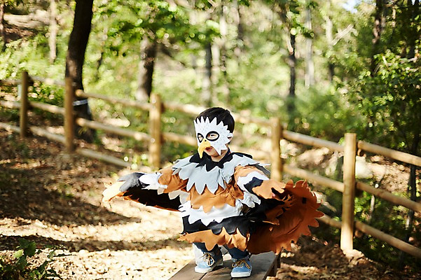 포토 JPG 주간 전신 남자 어린이라이프 어린이 조류 한명 앉기 상반신 야외 앞모습 분장 귀여움 한국인 숲속 역할놀이 코스프레 소년한명만 국내포토 자연요소 동물 1 라이프스타일 뷰포인트 컨셉 모션 놀이 사람 동양인 숲 남자한명만 소년만 파일형식