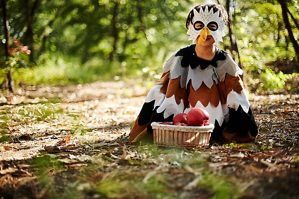 포토 JPG 주간 전신 남자 어린이라이프 어린이 조류 한명 앉기 야외 앞모습 분장 귀여움 한국인 사과 숲속 사과바구니 역할놀이 코스프레 소년한명만 국내포토 자연요소 동물 1 라이프스타일 뷰포인트 컨셉 과일 모션 놀이 사람 동양인 바구니 숲 남자한명만 소년만 파일형식