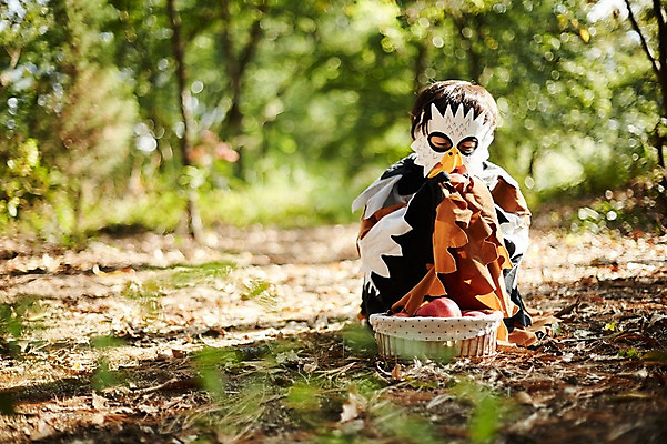 포토 JPG 주간 전신 남자 어린이라이프 어린이 조류 한명 앉기 야외 앞모습 분장 귀여움 한국인 사과 숲속 사과바구니 역할놀이 코스프레 소년한명만 국내포토 자연요소 동물 1 라이프스타일 뷰포인트 컨셉 과일 모션 놀이 사람 동양인 바구니 숲 남자한명만 소년만 파일형식