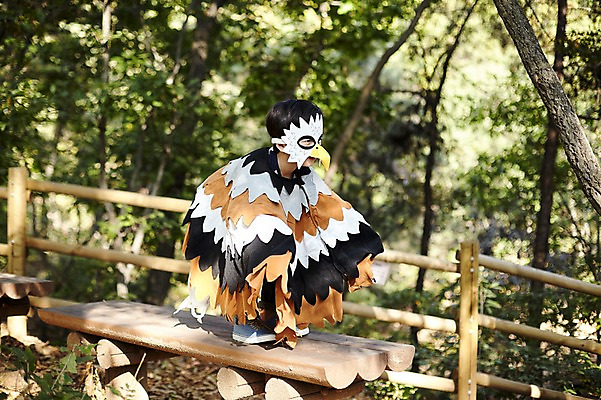 포토 JPG 주간 전신 남자 어린이라이프 어린이 조류 한명 앉기 야외 옆모습 분장 귀여움 한국인 숲속 역할놀이 코스프레 소년한명만 국내포토 자연요소 동물 1 라이프스타일 뷰포인트 컨셉 모션 놀이 사람 동양인 숲 남자한명만 소년만 파일형식