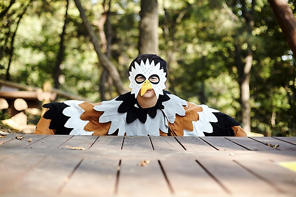 포토 JPG 주간 남자 어린이라이프 어린이 장난 조류 한명 앉기 상반신 야외 앞모습 분장 귀여움 한국인 숲속 역할놀이 코스프레 소년한명만 국내포토 자연요소 동물 1 라이프스타일 뷰포인트 컨셉 모션 놀이 사람 동양인 숲 남자한명만 소년만 파일형식